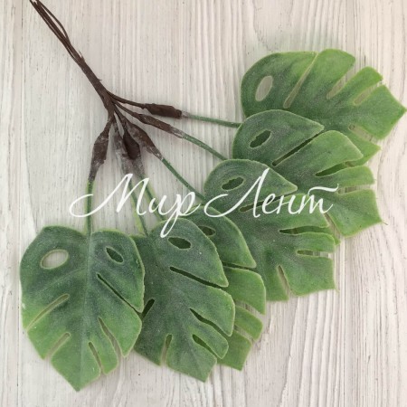 Добавка монстера, 21 см, зелений, шт.