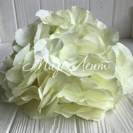 Гортензия (соцветие), 22 см, молочный, шт.