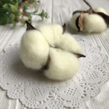 Бавовна стабілізована (коробочка), 5-6 см, молочна, шт.