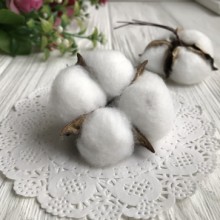 Хлопок стабилизированный (коробочка), 5-6 см, белый, шт.