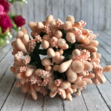 Гілочка з тичинками, світло-персиковий, пучок