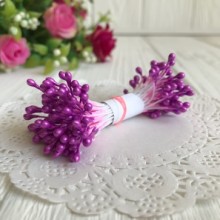 Тичинки маленькі, 2 мм, бузкові