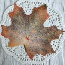 Листок клена без ніжки (маленький), 10х8 см, блідо-зелено-оранжевий, шт.