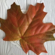 Листок клена без ніжки (великий), 16х12, 5 см, червоно-зелений, шт.