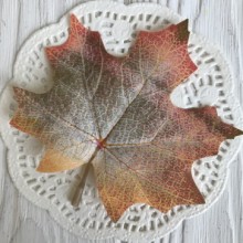 Листок клена з ніжкою (маленький), 9,5 х7, 5 см, блідо-зелено-оранжевий, шт.