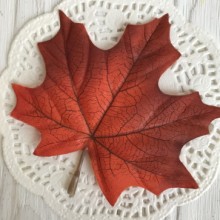 Листок клена з ніжкою (маленький), 9,5 х7, 5 см, червоний, шт.