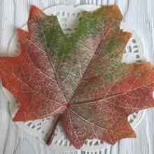 Листок клена з ніжкою (середній), 11х9 см, блідо-зелено-червоний, шт.