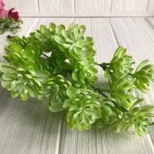 Гілка сукуленту, 35 см, салатовий, 1 шт.
