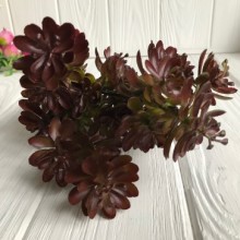 Гілка сукуленту, 35 см, зелено-бордова, 1 шт.