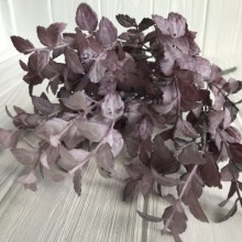 Зелень базиліка, 33 см, світло-фіолетовий, шт.