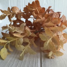 Зелень базиліка, 33 см, жовто-жовтогарячий, шт.