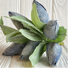 Тюльпани у снігу, 13 см, сапфіровий, шт.