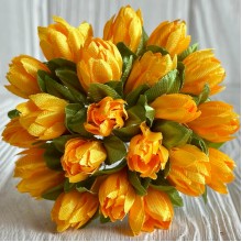 Пролісок, 2 см, темно-жовтий, пучок з 20 квіточок