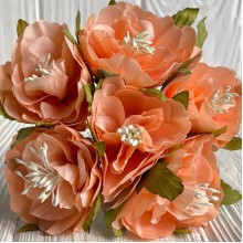 Бегонія королівська, 5 см, темно-персикова, пучок