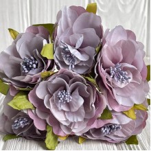 Бегонія королівська, 5 см, лілова, пучок