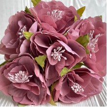 Бегонія королівська, 5 см, рожево-пудрова, пучок