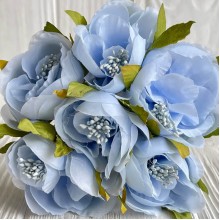 Бегонія королівська, 5 см, блакитна, пучок