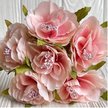 Бегонія королівська, 5 см, рожева, пучок