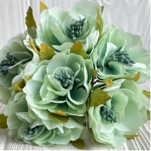 Бегонія королівська, 5 см, мятна, пучок