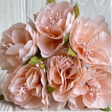 Бегонія королівська, 5 см, персикова, пучок