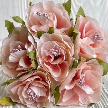 Бегонія королівська, 5 см, персиково-рожева, пучок