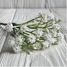 Незабудки, 16 см, білі, пучок