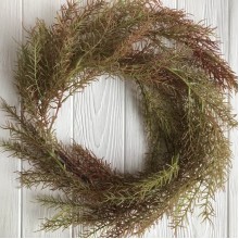 Гілка, що звисає аспарагуса, 108 см, зелений з бордовим, шт.