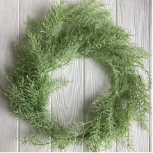 Гілка, що звисає аспарагуса, 108 см, світло-зелений, шт.