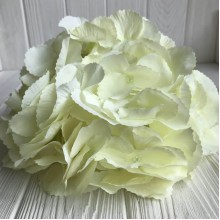 Гортензія (суцвіття), 22 см, молочна, шт.