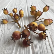 Шипшина, 12 мм, жовто-коричневий, шт.