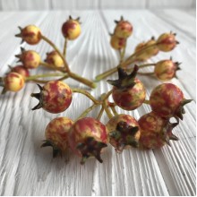 Шипшина, 12 мм, жовто-червоний, шт.