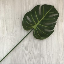 Гілка монстера, 54 см, зелена, шт.