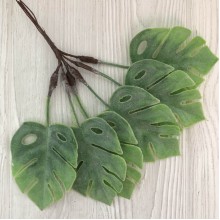 Добавка монстера, 21 см, зелений, шт.