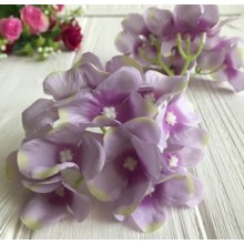 Гортензія (пучок), 12 см, бузково-салатовий