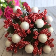 Гілочка червона з білими ягідками