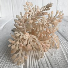 Гілочка туї, 16 см, персиковий, шт.