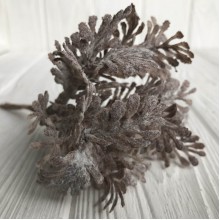 Гілочка туї, 16 см, світло-коричневий, шт.