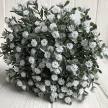 Зелень гіпсофіли (букет), 30 см, білий, 10 шт.