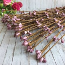 Декоративна гілочка з тичинками, 40 см, пудра