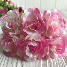 Фрезія, 3,5 см, біло-малиновий, пучок із 6 квіточок