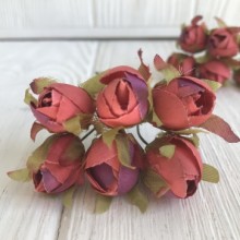 Тюльпан, 2 см, коралово-фіолетовий, пучок