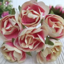 Півоноподібна троянда, 3 см, молочно-малиновий, пучок 6 шт.