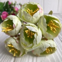 Півонія весняна, 3 см, ніжно-салатовий, пучок