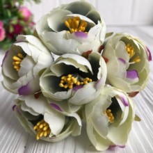  Півонія весняна, 3 см, молочна з фіолетовим, пучок