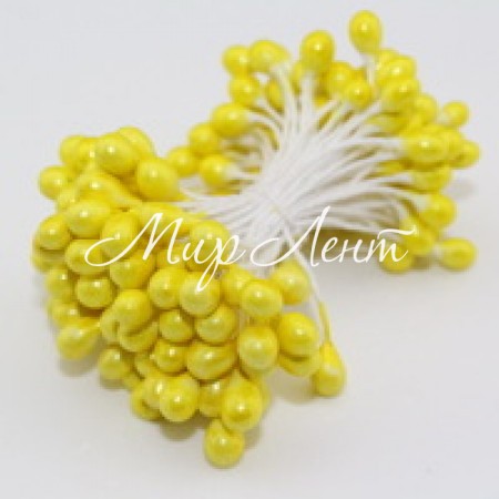 Тычинки большие, 4 мм, желтые