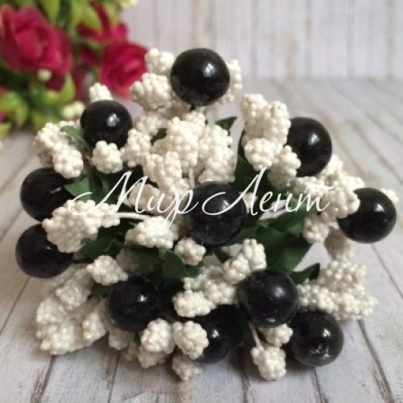 Веточка белая с черными ягодками