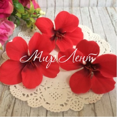 Бутон гортензии, 5 см, красный