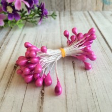 Тичинки великі, 4 мм, світло-малинові