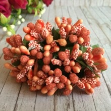 Гілочка з тичинками, темно-персикова, пучок