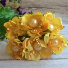Цвіт яблуні із перлиною, жовтий, пучок